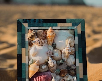May include: A framed seashell mosaic featuring a variety of shapes, sizes, and colours. The frame is made of wood with a blue and green chequered pattern.