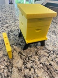Mini Langstroth Beehive - Home Decor