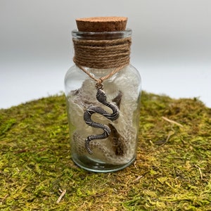 Pot de sorts en peau de serpent