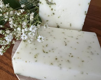 6 Rosemary Goats milk Soaps in bulk