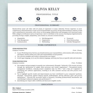 May include: A resume template with a professional design. The resume includes sections for professional summary, work experience, and education. The template is designed to help job seekers create a visually appealing and informative resume.