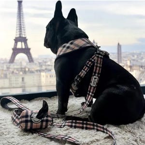 Reversible(3 pieces) Beige Plaid Harness & Leash Set