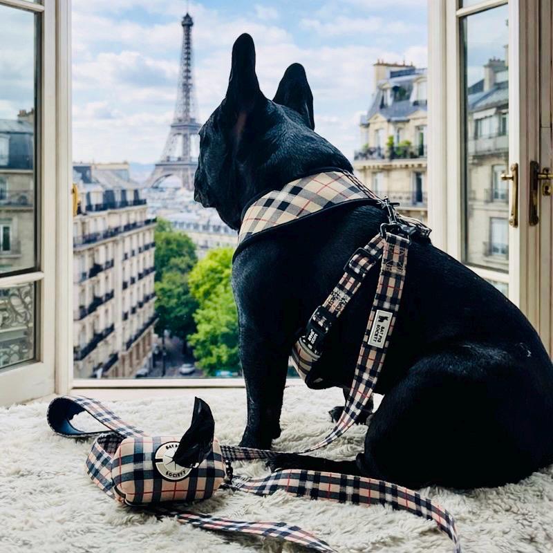 Dog burberry harness set - Etsy 日本