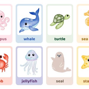 ANIMALES DEL OCÉANO Imágenes reales - Fichas didácticas imprimibles, Fichas didácticas de nomenclatura, PDF editable para educación preescolar en el hogar Descarga de animales marinos