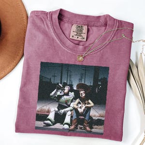 May include: A mauve short-sleeved t-shirt featuring a graphic print of two animated characters sitting on a curb at night. The inner neck label reads Comfort Colors, 100% cotton, made in Honduras, size S-CH. A gold-toned necklace rests on the fabric.