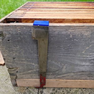 Può includere: Una scatola di alveare in legno con uno strumento per alveare in metallo. Lo strumento ha un'impugnatura in plastica blu e un gancio in metallo rosso. La scatola è appoggiata su una superficie di cemento.