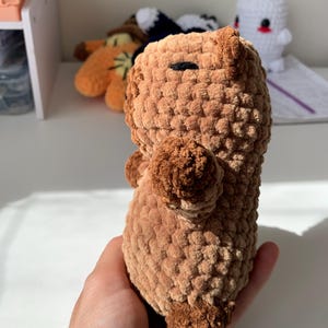 Capybara Crochet Pattern