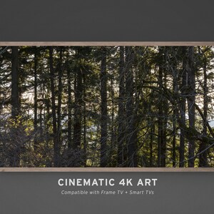 Puede incluir: Una impresión enmarcada que presenta una densa escena forestal con árboles altos y oscuros y la luz del sol filtrándose a través del dosel. La obra de arte se presenta en un marco de madera de color claro. El texto "CINEMATIC 4K ART" se muestra en la parte inferior, junto con "Compatible with Frame TV + Smart TVs".