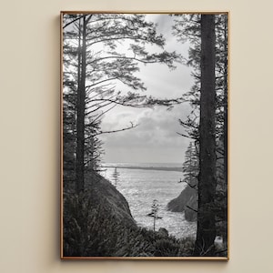 May include: A vertical black and white wall art print featuring a coastal landscape framed by tall, dark evergreen trees in the foreground. The scene captures a rocky cliffside overlooking a turbulent ocean under a cloudy, bright sky.