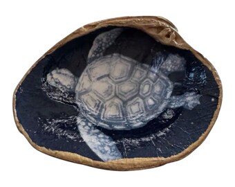 Sea Turtle Decoupage Trinket Dish in Blue – Ocean Decor, Quahog Shell