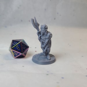 Puede incluir: Una figura en miniatura de plástico gris de un personaje de fantasía que sostiene un arma. La figura está de pie sobre una base redonda. Un dado de 20 caras multicolor está en el fondo.
