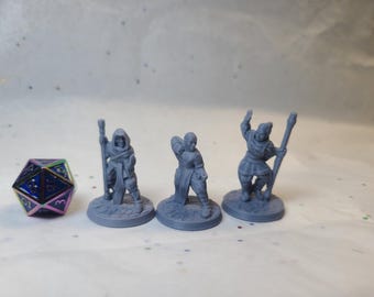 Brotherhood of the Staff: Monk Miniatures Collection