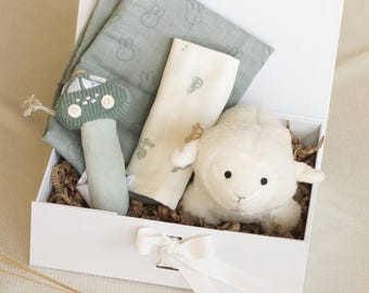 Personalized baby gift set, for a newborn boy, newborn gift box, baby shower gift, baby gift basket with rattle