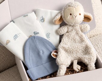 Baby boy gift, blue baby set, newborn gift, baby shower gift, baby shower present, gift box, gift for pregnant girlfriend