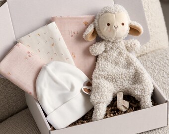 Baby girl gift, pink baby set, newborn gift, baby shower, baby shower favor, gift box, gift for pregnant girlfriend