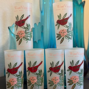 Vintage West Virginia Souvenir Glasses – Set of 6 Frosted Cardinal & Rhododendron State Bird/Flower Drinking Glasses