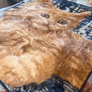 May include: A plush, orange and brown cat-themed blanket. The blanket features a large, detailed image of a cat's face with large eyes. The border of the blanket is a dark blue and white pattern.