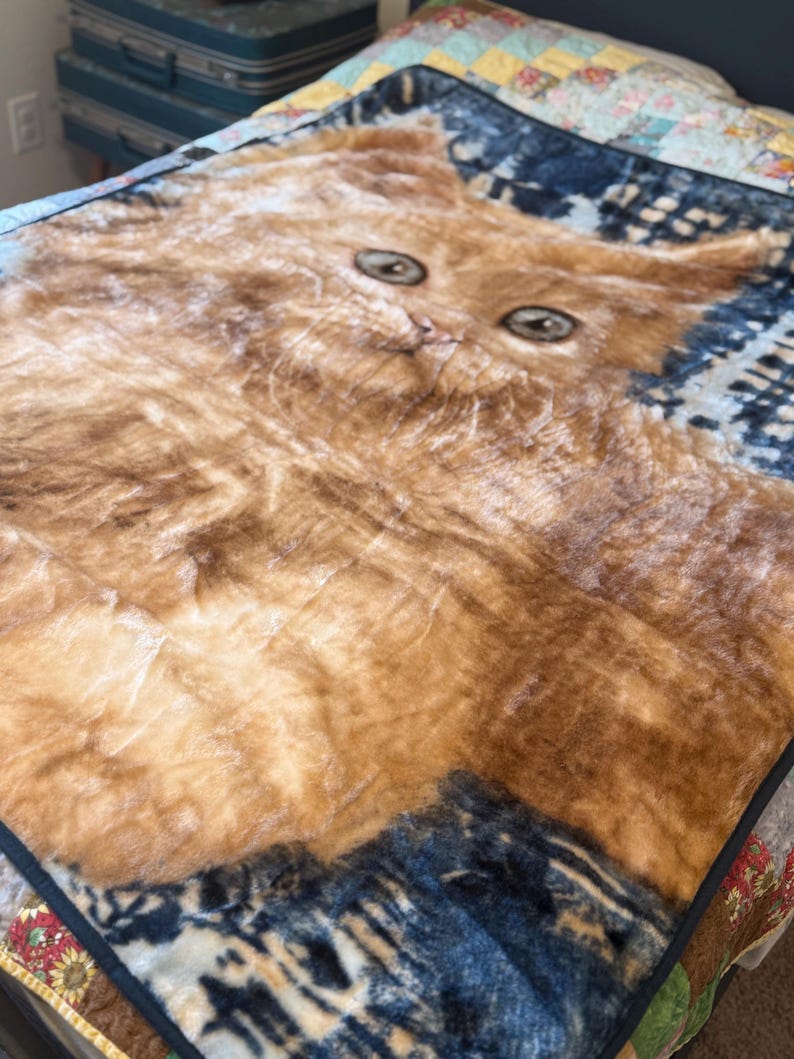 May include: A plush, orange and brown cat-themed blanket. The blanket features a large, detailed image of a cat's face with large eyes. The border of the blanket is a dark blue and white pattern.