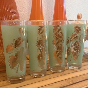 May include: Four vintage highball glasses with a light green interior and gold leaf design. The glasses are arranged on a wooden surface, with orange vases in the background. The glasses are clear and cylindrical.
