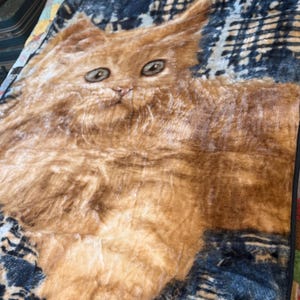 May include: A plush blanket featuring a large, detailed image of a ginger cat with wide eyes. The cat is set against a dark blue and black patterned background. The blanket has a black border and is placed on a patchwork quilt.