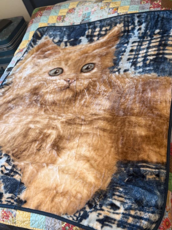 Vintage Greg Cuddiford Kitten Fleece Throw Blanket | The Northwest Company Plush Cat Quilt Design | Cozy Cottagecore Home Decor
