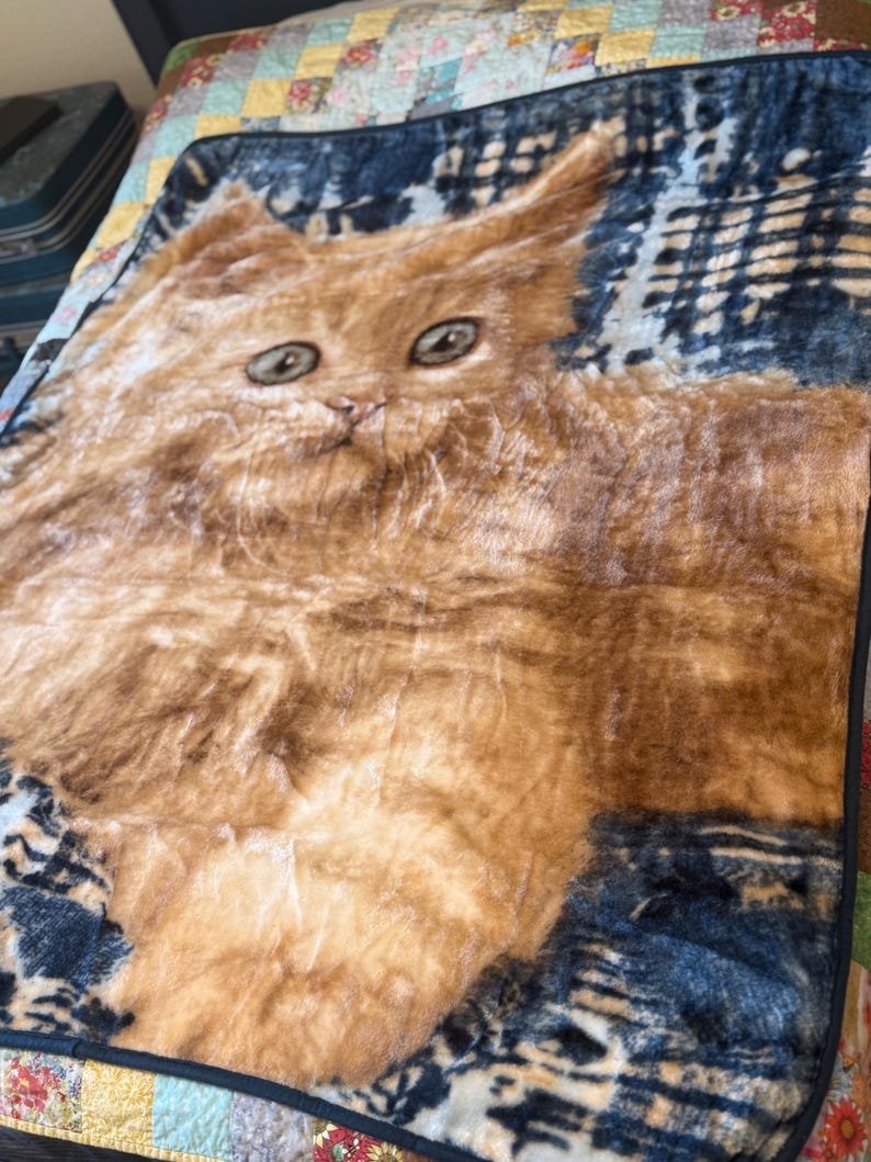 May include: A plush blanket featuring a large, detailed image of a ginger cat with wide eyes. The cat is set against a dark blue and black patterned background. The blanket has a black border and is placed on a patchwork quilt.