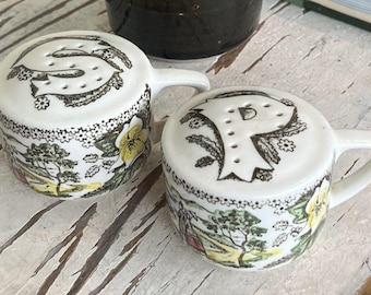 Vintage Fair Oaks Yellow Floral By Royal Salt & Pepper Shakers / Sun Birds Water
