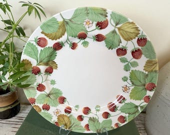 Royal Stafford England WILDBERRY 11" Dinner Plates~Strawberries Set Of  4