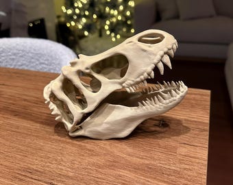 T-Rex Skull Fossil Replica | Paleontology Gift, Desk Decor