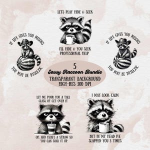 Sarcastische wasbeer PNG-bundel - grappige wasbeer Clipart - sublimatiekunst - Snarky digitale download - hoge resolutie 300 DPI