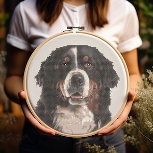 May include: A close-up of a cross-stitch embroidery hoop featuring a Bernese Mountain Dog with black, white, and brown fur. The dog is looking directly at the viewer with a friendly expression.