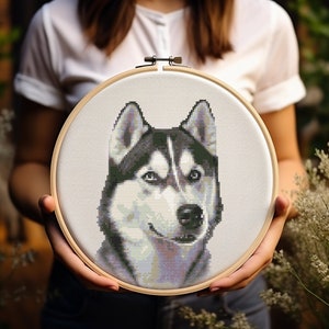 Puede incluir: Primer plano de un aro de bordado de punto de cruz con un perro husky blanco y negro con ojos azules. El perro mira directamente al espectador.