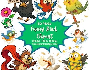 Lustiger Vogel Clipart: Alberne PNG Grafiken (Digitaler Download - 40 PNGs)