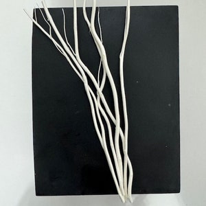 Könnte beinhalten: Ein Bündel weißer, astähnlicher Zweige, die auf einer schwarzen Oberfläche angeordnet sind. Die Zweige sind dünn und haben ein natürliches, rustikales Aussehen.