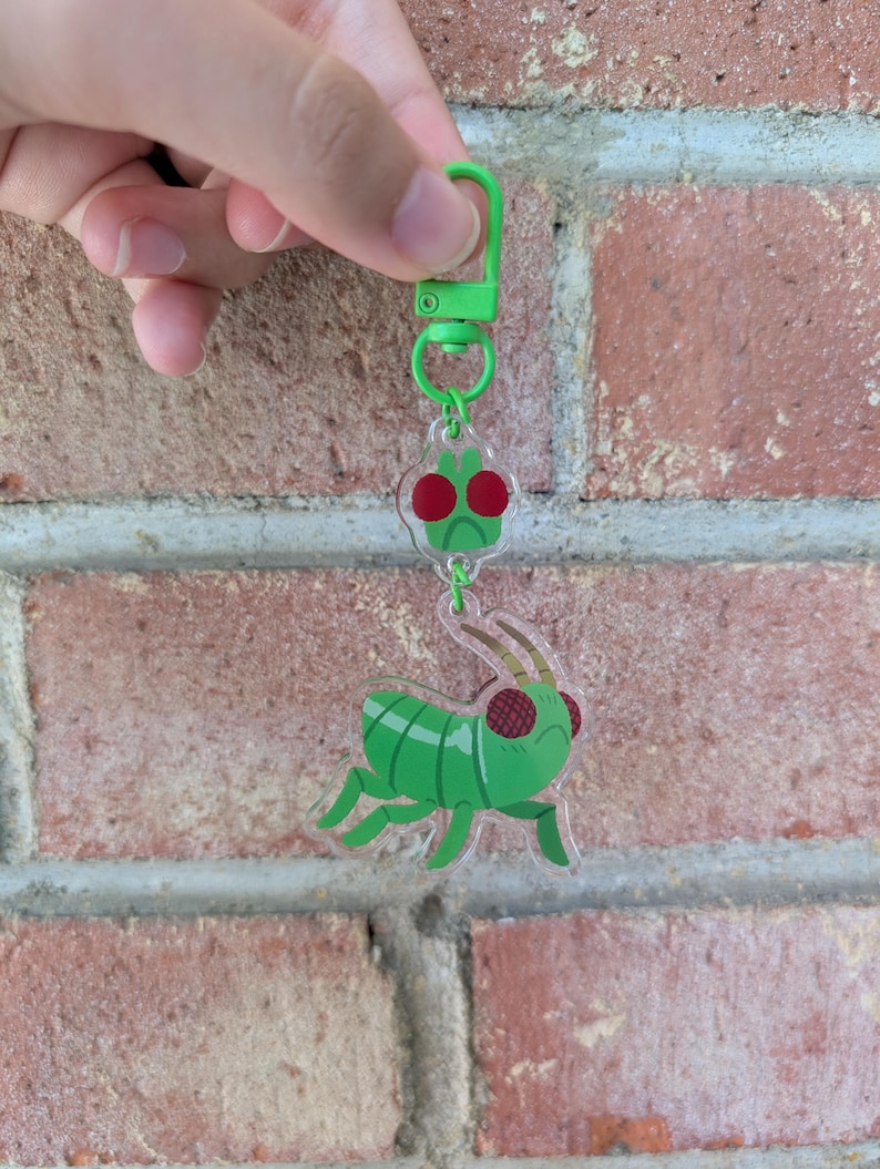 Grounded Aphid Pet Keychain - Etsy