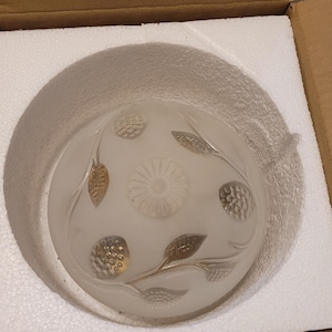Può includere: Lampada da soffitto in vetro smerigliato con un design floreale e a foglie. La lampada ha un fiore centrale e diverse foglie dorate e accenti a forma di bacca. L'apparecchio è in una scatola di cartone con schiuma protettiva.