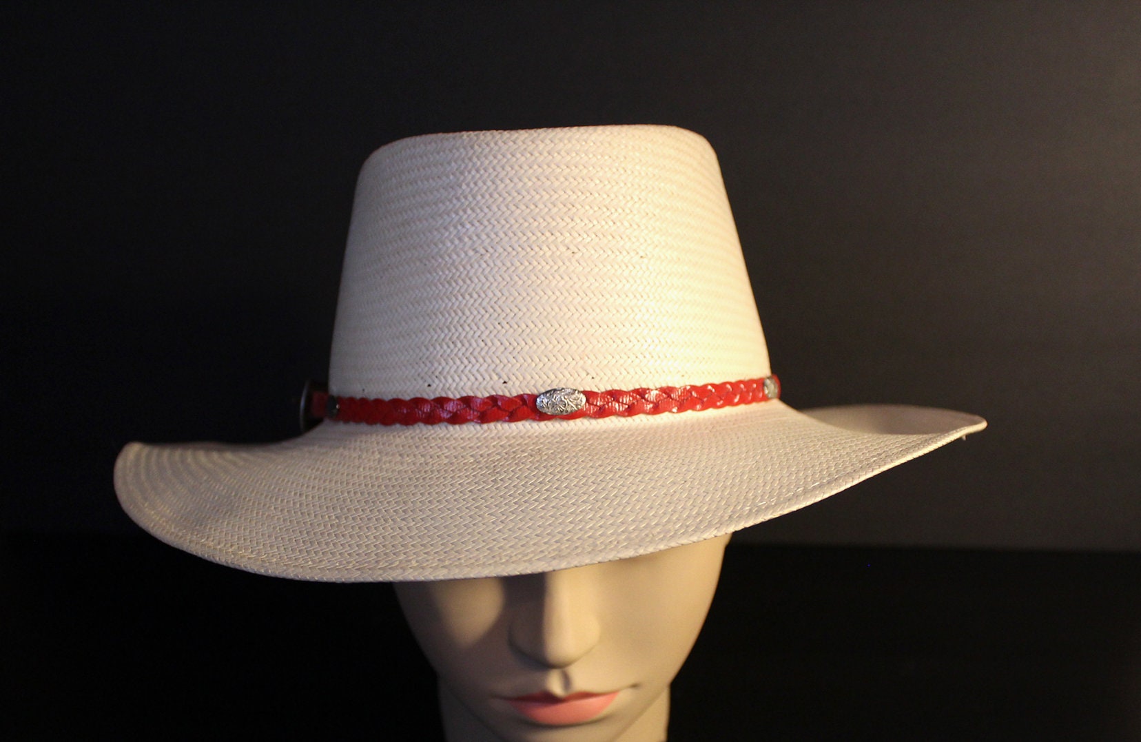 Panama Beaver Singapore