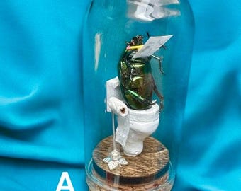Toilet Time Bug - Bug Cloche