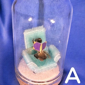 Acogedora tarde de abeja melífera - Campana para insectos