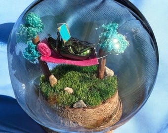 Island Time Beetle
