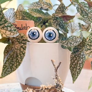 Ragni di piante originali dipinti a mano