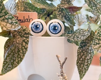 Original Handpainted Plant Peepers
