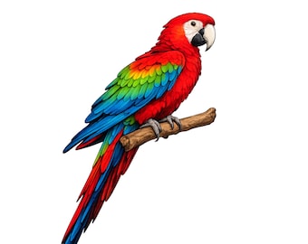 Bunter Papagei Clipart PNG SVG, Tropischer Vogel Digitaler Download (Cricut, Sublimation)