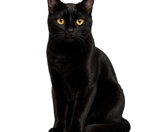 Schwarze Katze PNG SVG, Goldene Augen, Halloween Gothic Handwerk (Digitaler Download)