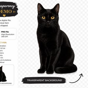 May include: A sleek black cat with bright yellow eyes sits upright, facing the viewer. The image includes text indicating it's a digital file with a transparent background, perfect for sublimation, stickers, and more.