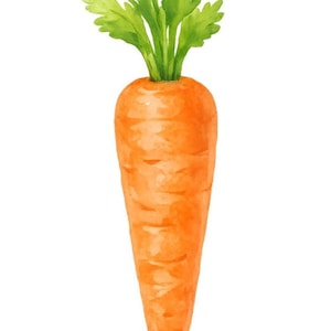 Watercolor Easter Carrot PNG Clipart, Single Carrot Transparent Background