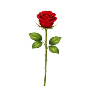 Röd ros clipart med stjälk, blommig sublimeringsdesign (digital nedladdning)
