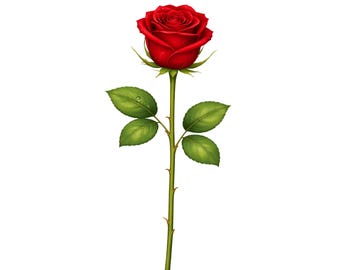 Red Rose Clipart with Stem, Floral Sublimation Design (Digital Download)