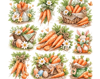 Watercolor Carrot Bundle PNG Clipart – Spring Easter Carrots