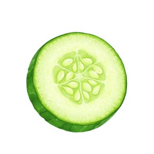 May include: A watercolour illustration of a single cucumber slice. The slice is a vibrant green with a lighter green interior and visible seeds. The image is a close-up, showcasing the texture and detail of the vegetable.